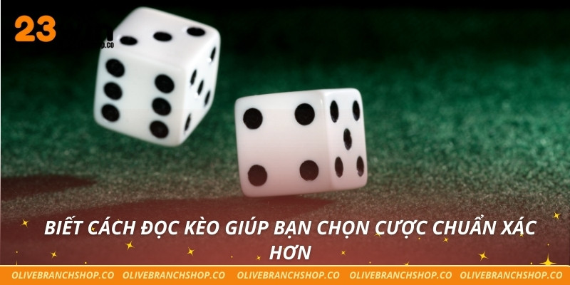 Hành Trình Chinh Phục Tài Xỉu Đổi Thưởng Online Cùng 23win Biết cách đọc kèo giúp bạn chọn cược chuẩn xác hơn