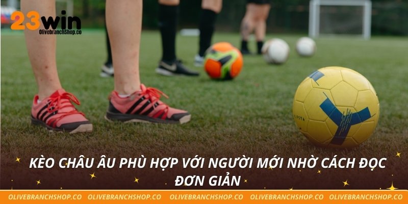 Giãi Mã Kèo Nhà Cái 23win - Cách Đọc Kèo Và Phân Tích Kèo Kèo châu Âu phù hợp với người mới nhờ cách đọc đơn giản