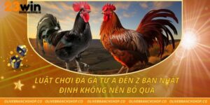 Luật Chơi Đá Gà Từ A Đến Z Bạn Nhất Định Không Nên Bỏ Qua