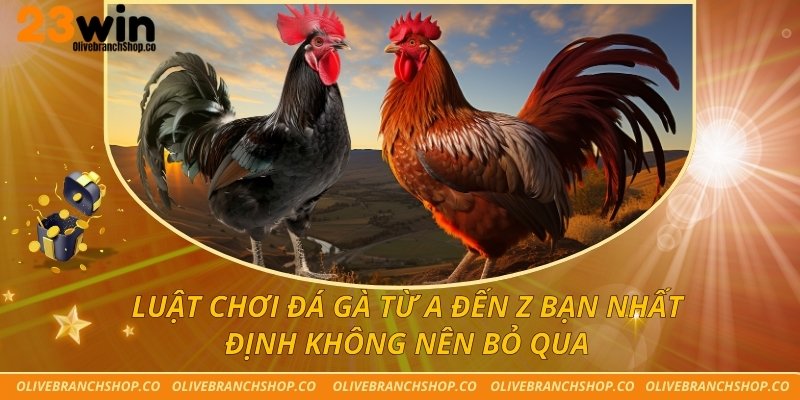 Luật Chơi Đá Gà Từ A Đến Z Bạn Nhất Định Không Nên Bỏ Qua Luật Chơi Đá Gà Từ A Đến Z Bạn Nhất Định Không Nên Bỏ Qua