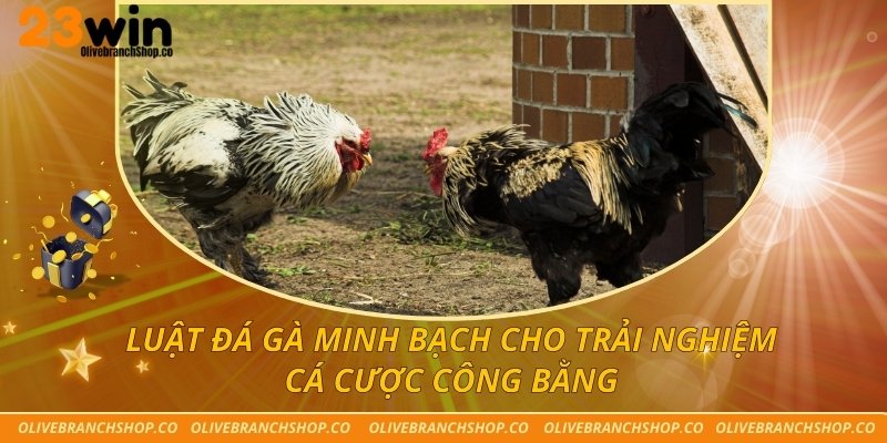 luật đá gà