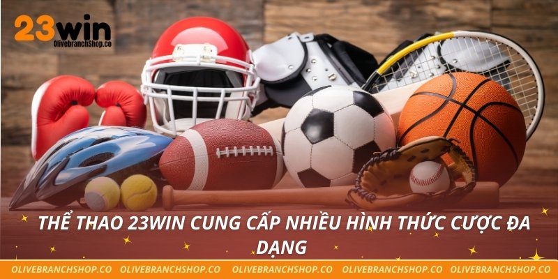 Thể thao 23win cung cấp nhiều hình thức cược đa dạng 