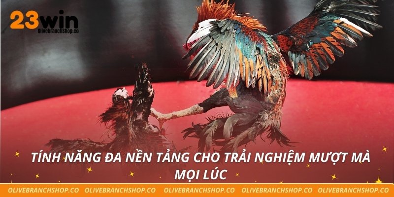 Tính năng đa nền tảng cho trải nghiệm mượt mà mọi lúc